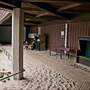 Sea bird aviary at Münster