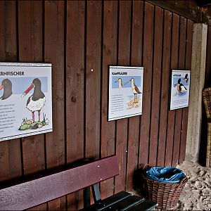Sea bird aviary at Münster