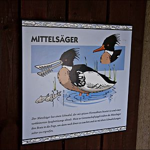 Signs in the sea bird aviary at Münster