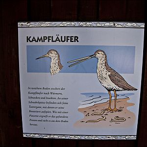 Signs in the sea bird aviary at Münster