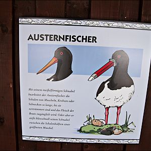 Signs in the sea bird aviary at Münster