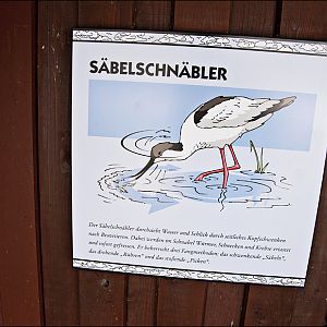 Signs in the sea bird aviary at Münster