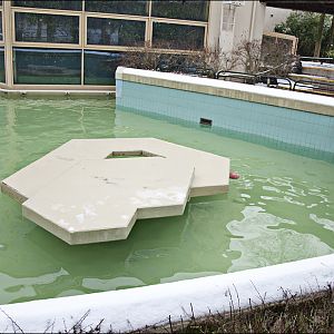 Grey seal pool at Münster