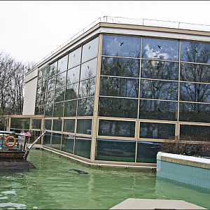 Grey seal pool at Münster