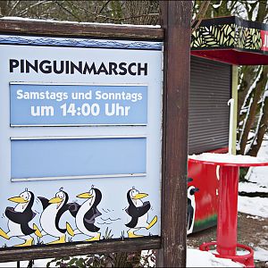 Peguinmarch at Münster