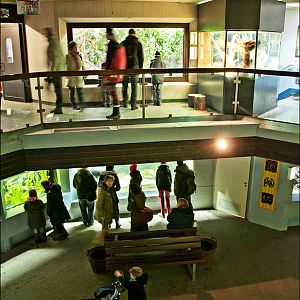 Aquarium at Münster