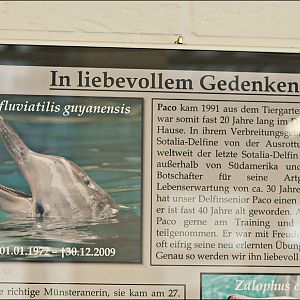 Sign in the former dolphinarium at Münster