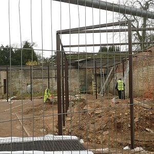 Construction of new clouded leopard enclosure