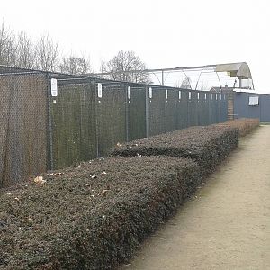 bird of prey and owl aviaries