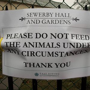 Sewerby Zoo, after Madge III