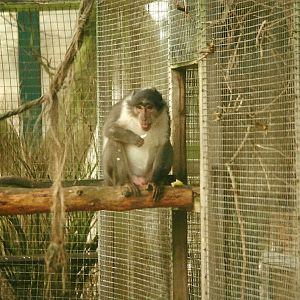 Joe 20th February 1999