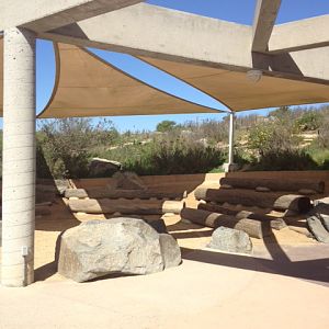 Bird show ampitheater