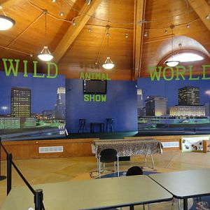 New Set for 2013's 'Its A Wild World Animal Show'