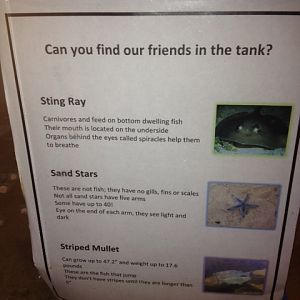 Brackish water tank guide