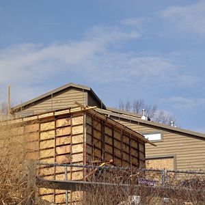 Grizzly Ridge Construction 2013.03.10