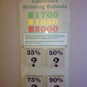 Sign describing the shrinking of wetlands in California