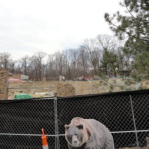 Grizzly Ridge Construction 2013.03.10