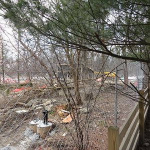 Grizzly Ridge Construction 2013.03.10