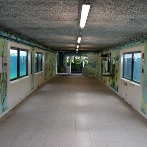 Aalborg Zoo - Penguin/sea lion tunnel