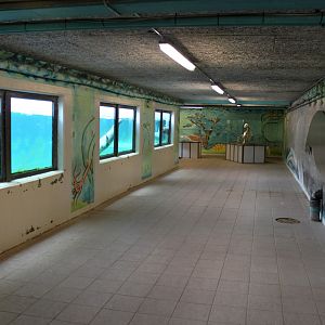 Aalborg Zoo - Penguin/sea lion tunnel