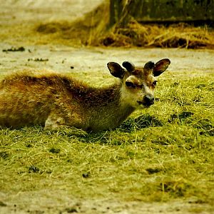 Mr Smith 5th June 1999