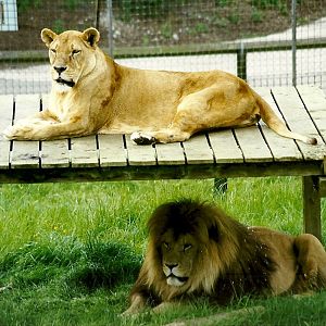 Rhoda and Carlon 5th June 1999