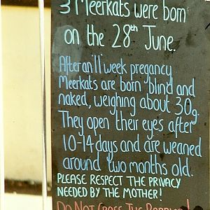 Information board 10th July 1999