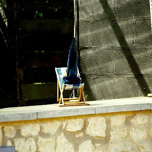 Parrot Show 10th July 1999