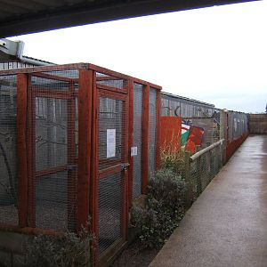 View of Aviarys and Slider exhibit