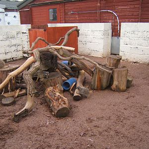 View of Meerkat outdoor exhibit