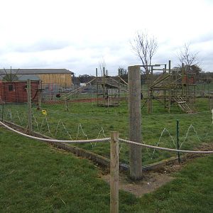 View of the Red Ruffed Lemur enclosure