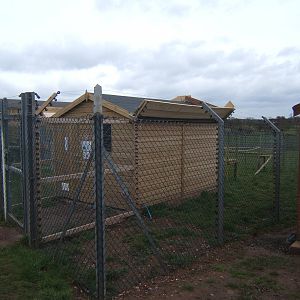 View of the new Ring-tailed Lemur House