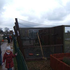 View of Kookaburra Aviary
