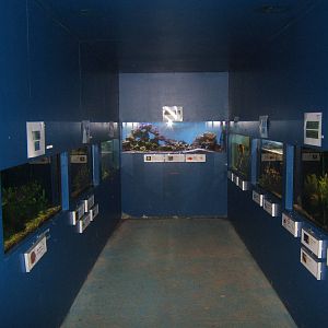 View of the Aquarium