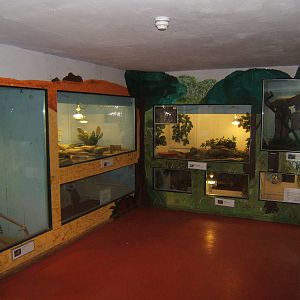 View of part of the Reptile House