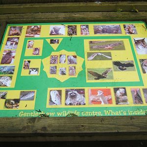 View of new map outside the entrance