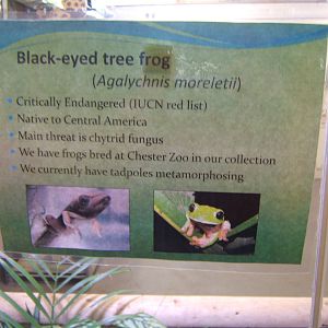 View of sign about new arrivals