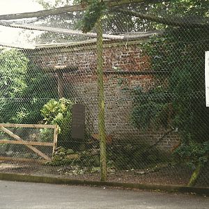 1960s aviary 14th August 1999