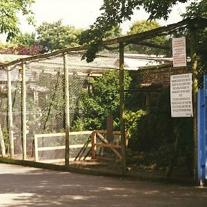 Wider view of 1960s aviary 14th August 1999