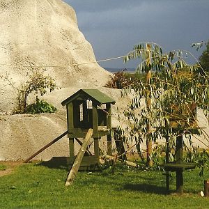 Lemur island 14th August 1999