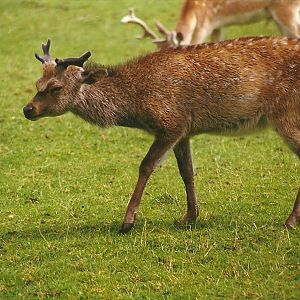 Mr Smith 14th August 1999