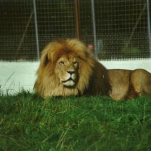 Carlon 14th August 1999