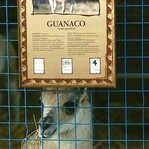 No need for a description! 25th September 1999