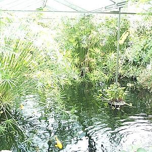 another view of pool 2003