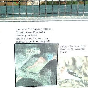 sinage faded inthe sun  2003