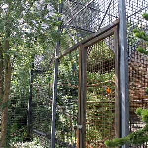 Aalborg Zoo - Macaw aviary