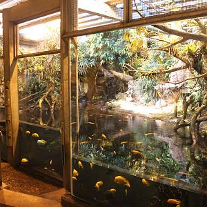 Aalborg Zoo - Tropical House (Caiman exhibit)