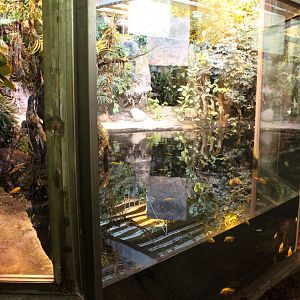 Aalborg Zoo - Tropical House (Caiman exhibit)