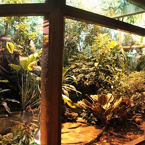 Aalborg Zoo - Tropical House (Rainforest exhibit)