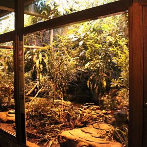 Aalborg Zoo - Tropical House (Rainforest exhibit)